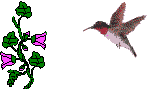 hummingbird2.gif